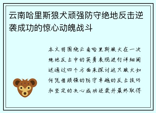 云南哈里斯狼犬顽强防守绝地反击逆袭成功的惊心动魄战斗